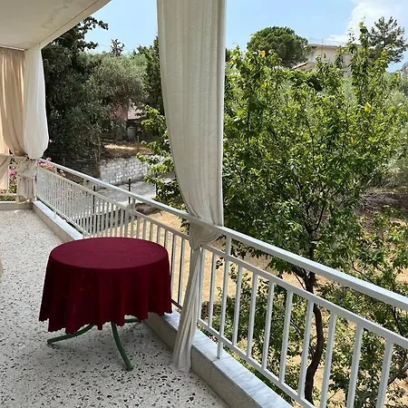 Nectarios Seaside Apartment. Palaiontsiflikion Exterior photo