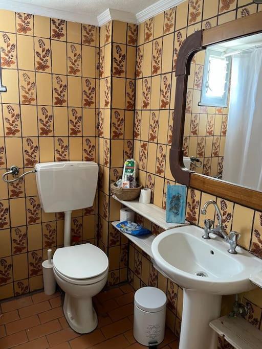 Nectarios Seaside Apartment. Palaiontsiflikion